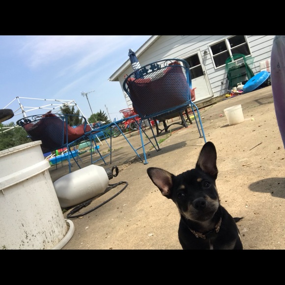 Meet your Posher, Hannah!! - Picture 2 of 3